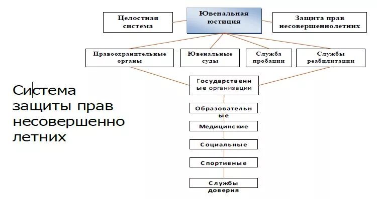 Система защиты прав несовершеннолетних. Система защиты прав несовершеннолетних в РФ.