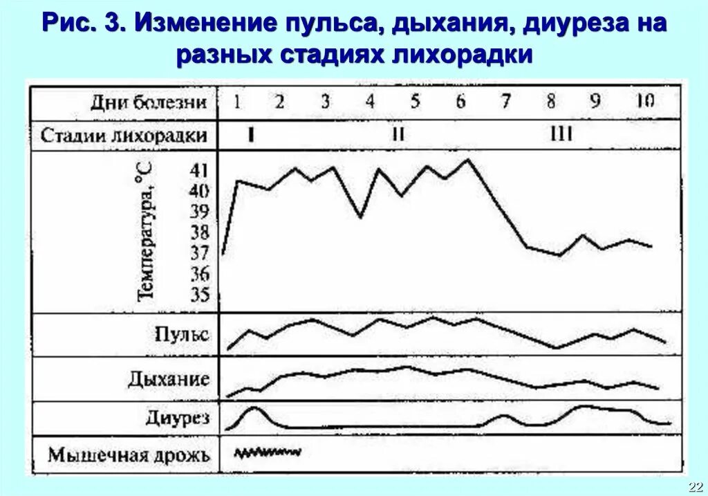 Температура сильный пульс. Диаграмма изменения пульса. График температуры пульса и дыхания. Пульс при лихорадке. График изменения пульса в течении дня.