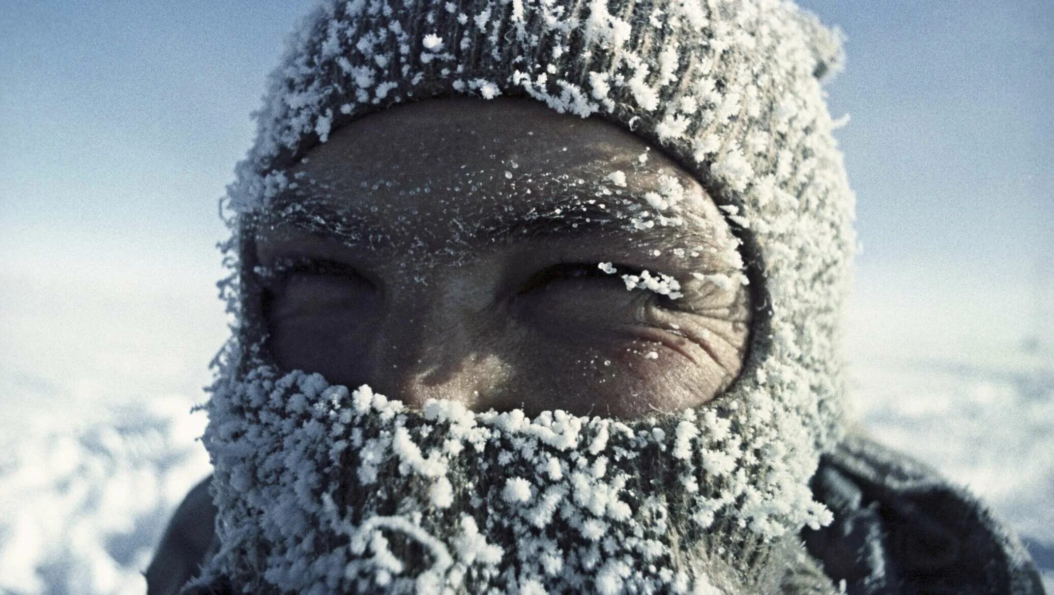 Почему в холодную погоду многие животные. Холодный климат. Суровая зима. Антарктида Мороз. Холодная зима.