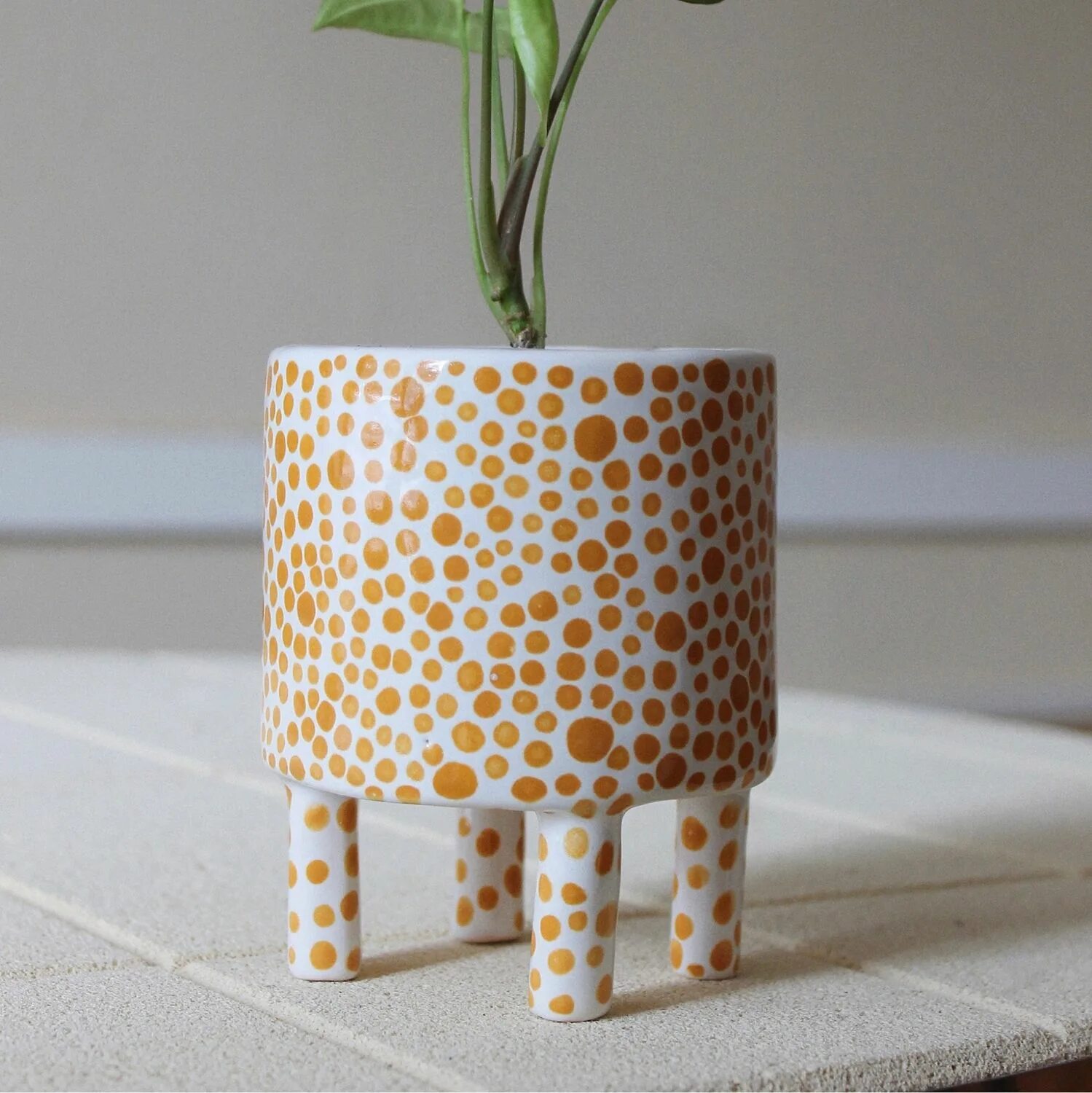 поддон для кашпо овальный. цветочные горшки чашки в горошек. -син. кашпо в горошек. горшочек горошка.