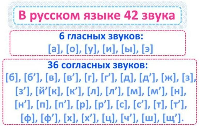 Сколько в русском языке звуков и букв. Сколько согласные звуки в русском языке. Количество гласных и согласных звуков в русском языке. Сколько согласных букв и звуков в русском языке. Сколько согласных зауков в русском я.