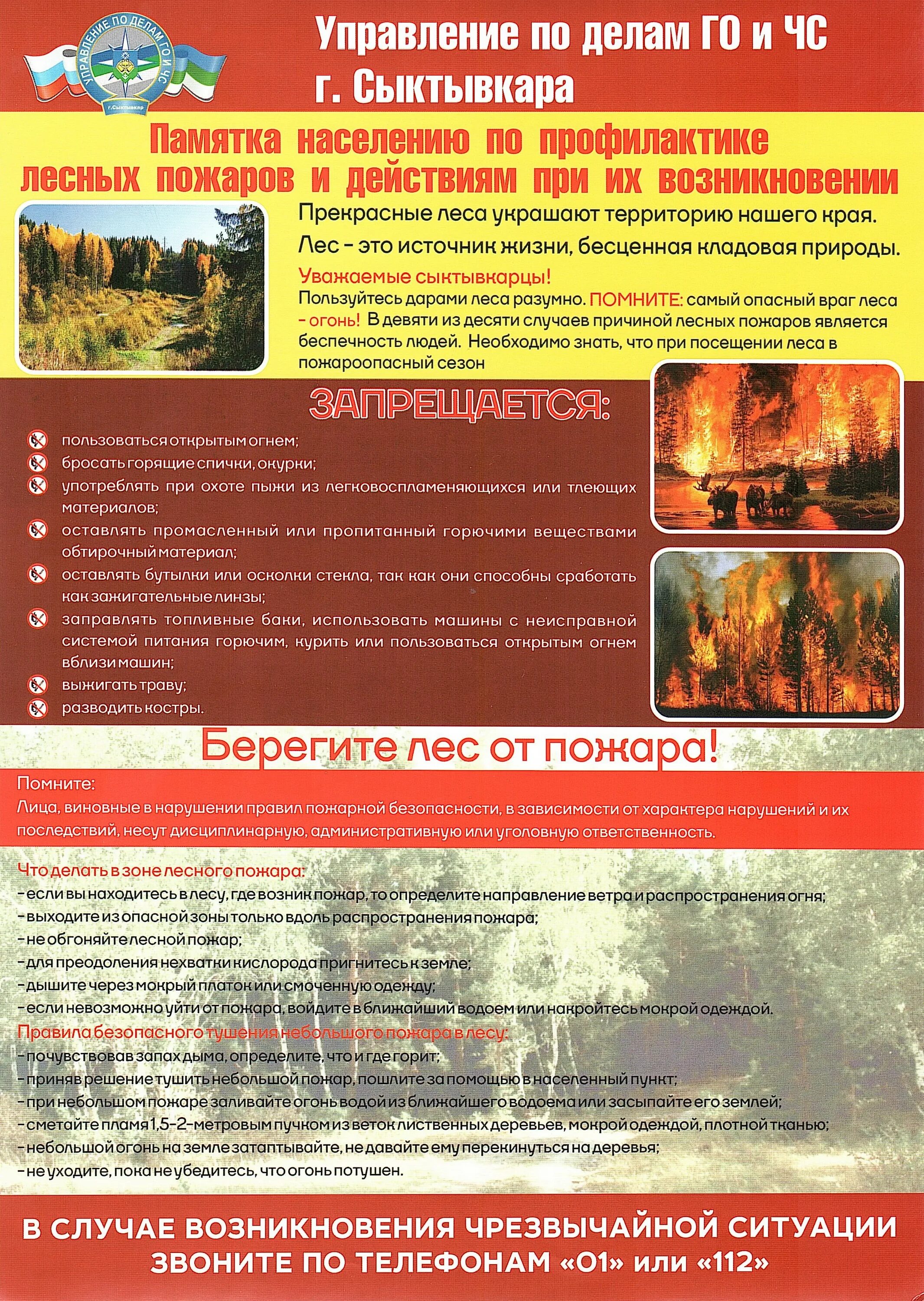 Действия по предупреждению пожара. Памятка по ландшафтным пожарам. Памятки мчс по пожарной безопасности. Памятка действия при пожаре. Действия по предупреждению пожара.