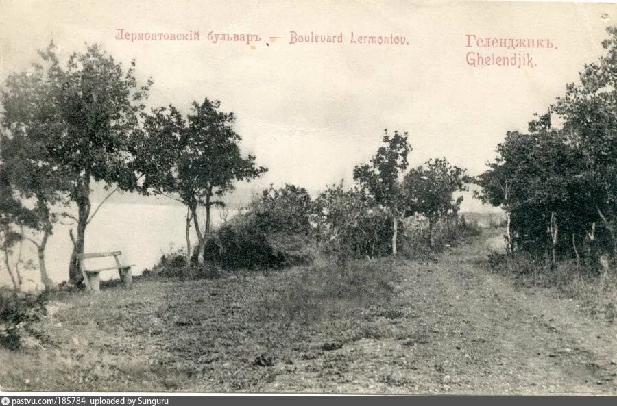 Рони ойстер лермонтовский бул 18 фото. Рони ойстер лермонтовский бул 18 фото