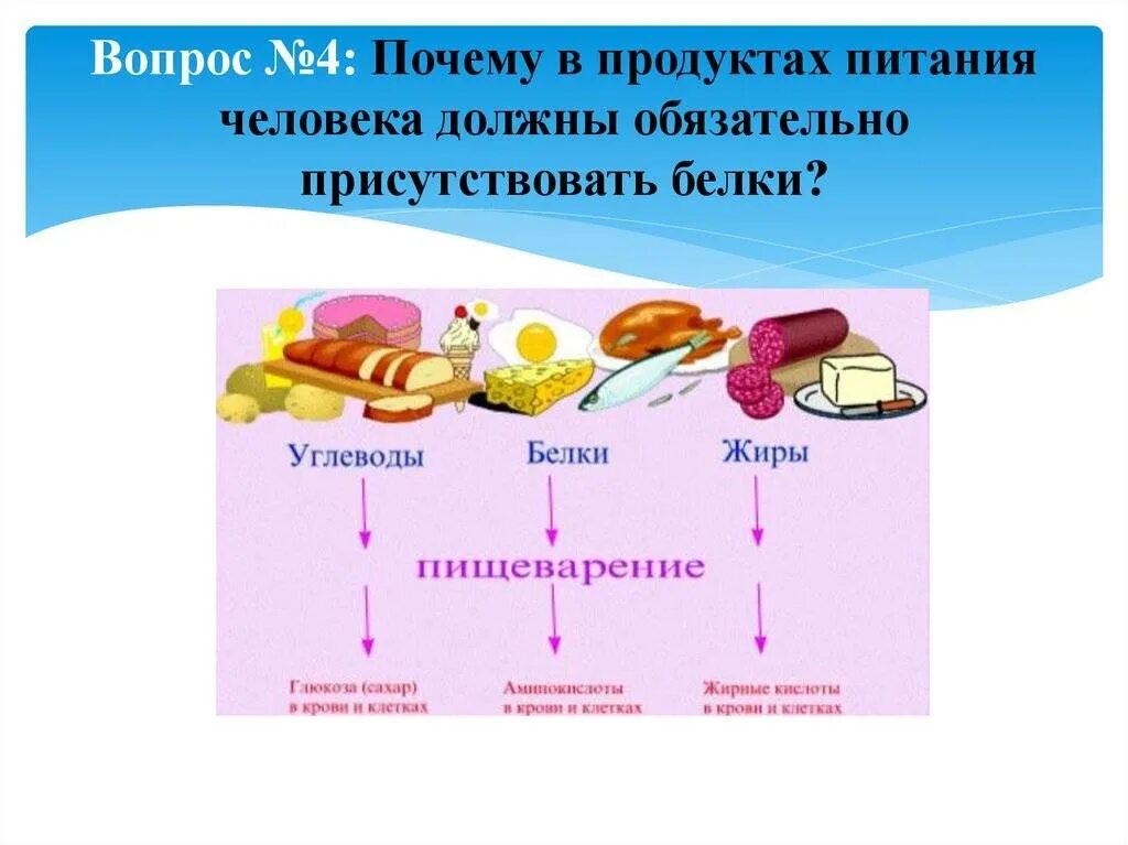 Какие функции белков жиров и углеводов. Белки жиры углеводы. Белки жиры углеводы в организме человека. Питательные вещества углеводы. Питание белки жиры углеводы.