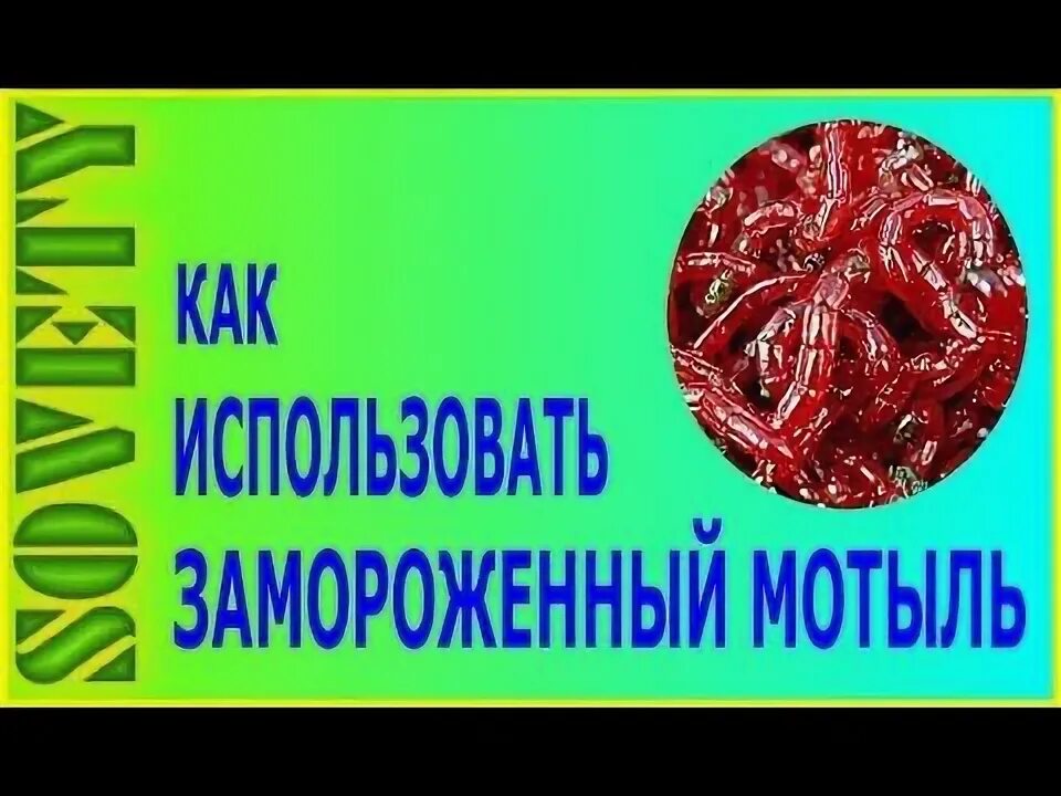 Как кормить замороженным мотылем. Как кормить замороженным мотылем