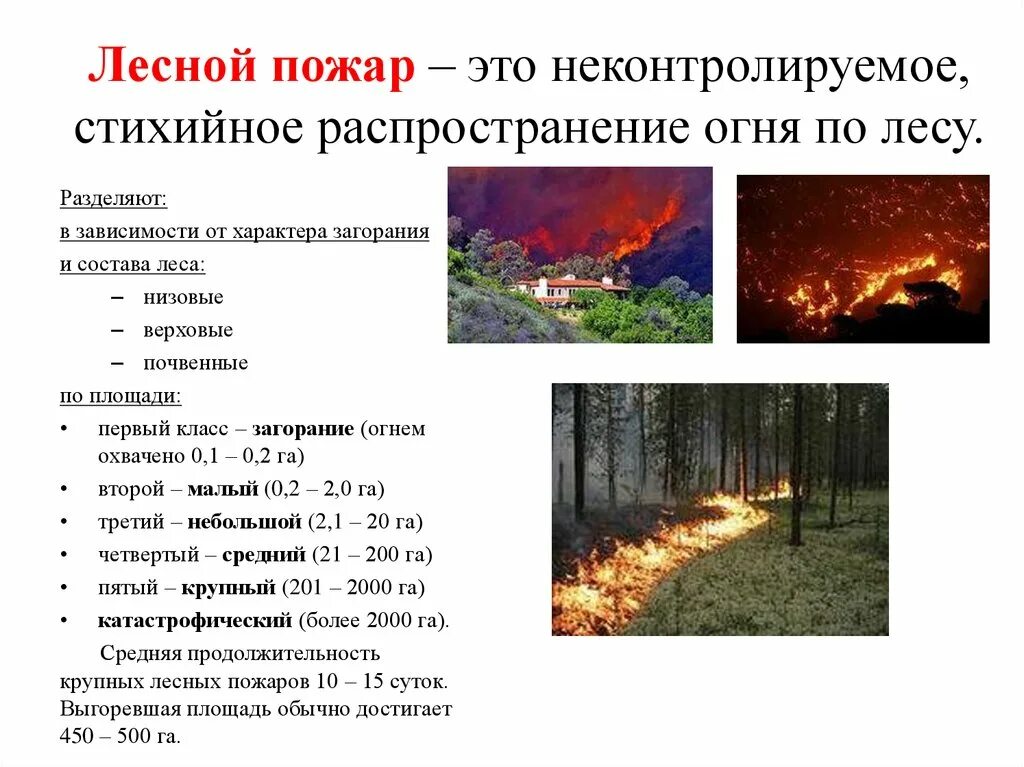 Природный пожар определение. Краткая характеристика лесных пожаров. Предвестники лесного пожара БЖД. Характеристика лесных пожаров причины. БЖД природные пожары классификация.