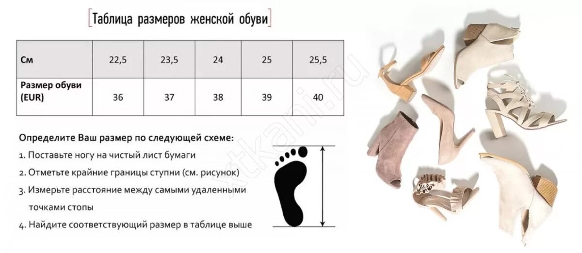 Размер туфель женских. Эконика размерная сетка женской обуви. эконика таблица размеров женской обуви. размерная сетка женской обуви в см таблица. сетка размеров женской обуви в сантиметрах таблица.