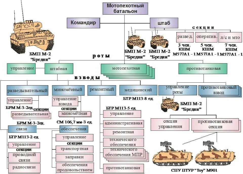 Организационно-штатная структура мотопехотного взвода США. Организационно-штатная структура вс США. Организационно штатная структура армии США. Организационно штатная структура батальона США.