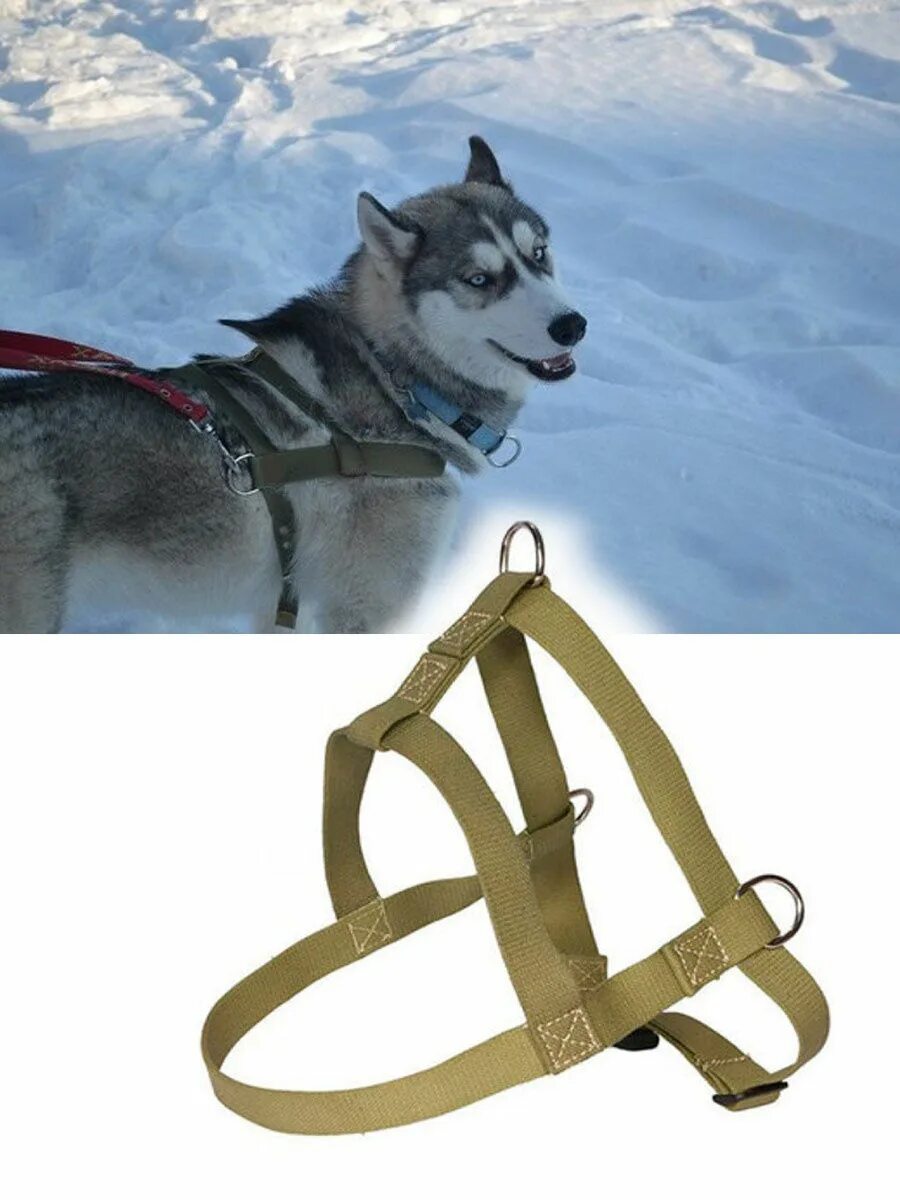 Рукка шлейка хаски. Шлея ездовая manmat. Рукка шлейка хаски. Шлейка ездовая манмат. Ездовые хаски.