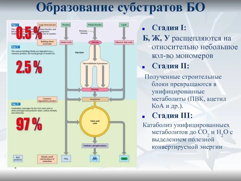 Этапы унификации субстратов. Этапы унификации энергетических субстратов. схема унификации энергетических субстратов. схема унификации энергетического материала. схема образования субстратов.