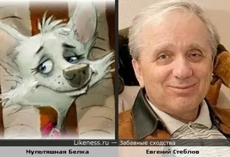 Likeness