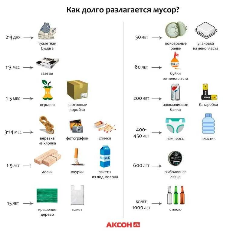 Сколько разлагается бутылка. Как долго разлагается мусор. Сроки разложения отходов. Сроки разложения мусора в природе. Картинка сколько разлагается мусор.