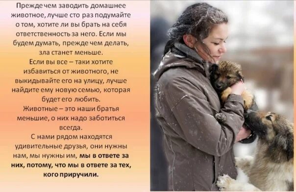 Хочу стать животным