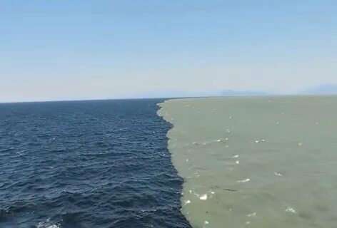 Апайдың порно оқиғасы