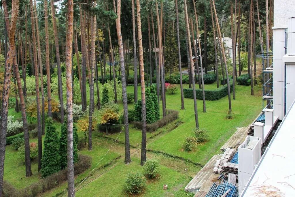 Поселок дачного хозяйства жуковка. Посёлок дачного хозяйства жуковка. жуковка (одинцовский район). деревня жуковка москва.