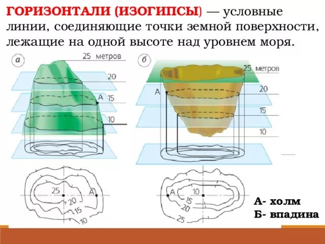 Изображение на плане неровностей. Горизонтали изогипсы. Изображение холма и впадины горизонталями. Горизонтали это в географии. Горизонтали или изогипсы это.