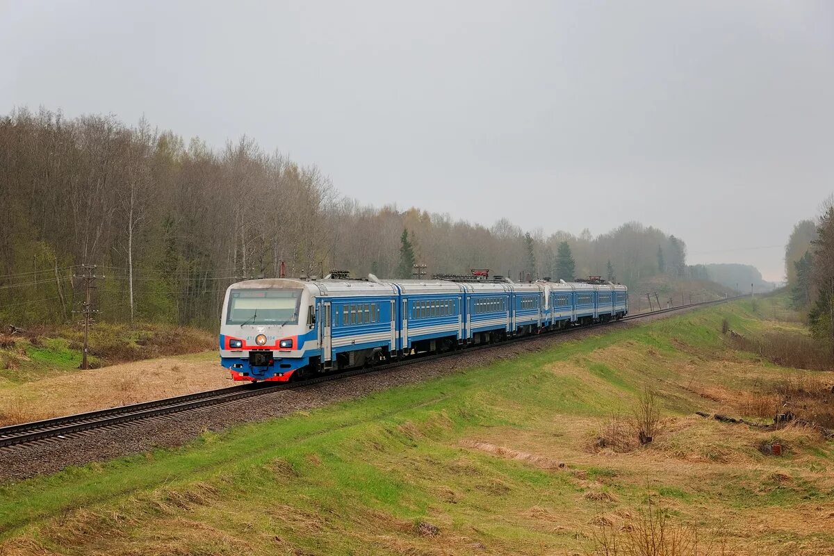 Поезда луга 1. Поезд псков луга. Дт1-009. Дизель луга псков. Дизель-электропоезд дт1.