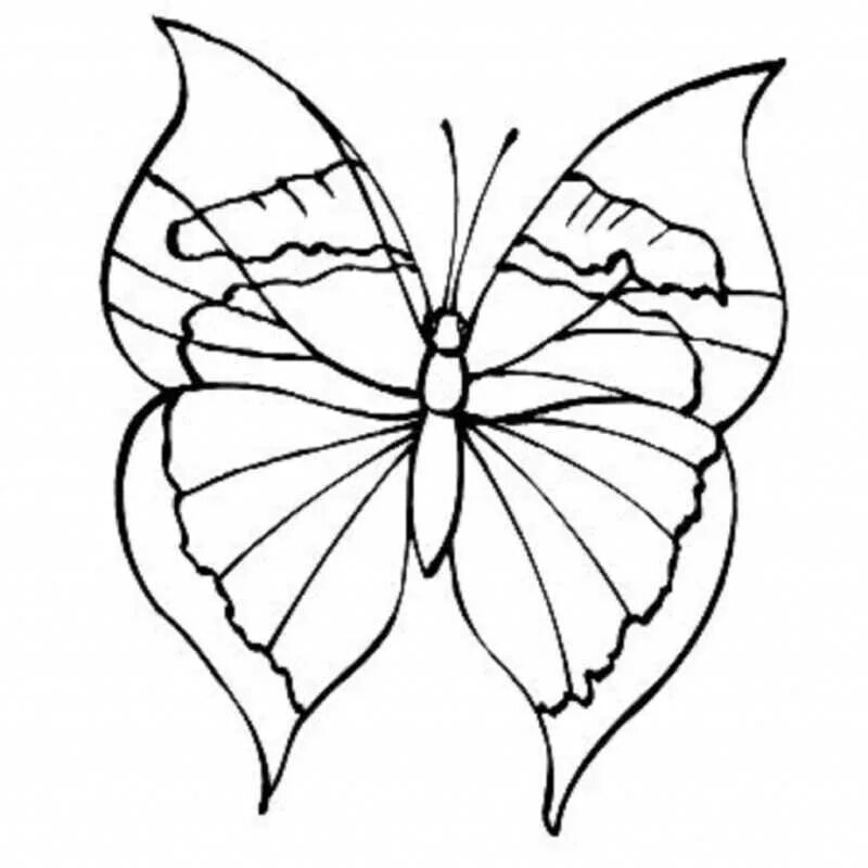 Картинки бабочек для срисовки. Бабочка рисунок карандашом. Бабочка рисунок карандашом для детей. Рисунок бабочки карандашом для срисовки. Бочка рисунок карандашом.