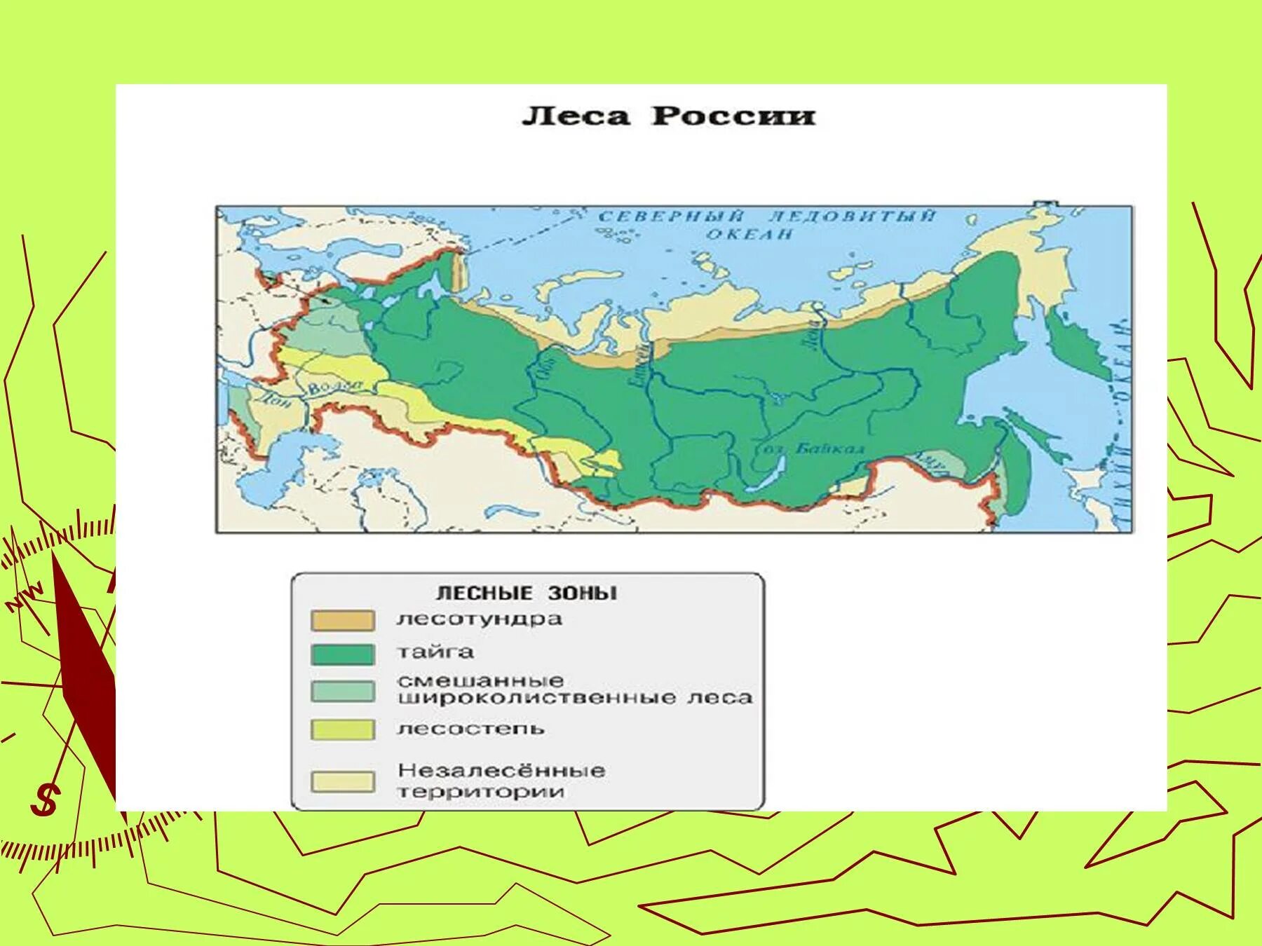 Темнохвойная Тайга на карте России. Зона тайги смешанных и широколиственных лесов на карте. Зона тайги на карте России.