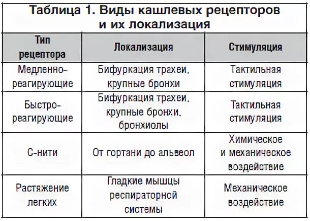 Центр кашля. Локализация кашлевых рецепторов. расположение кашлевых рецепторов. кашель локализация кашлевых рецепторов. центр кашлевого рефлекса.