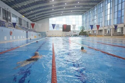 Сайт дворца водного спорта