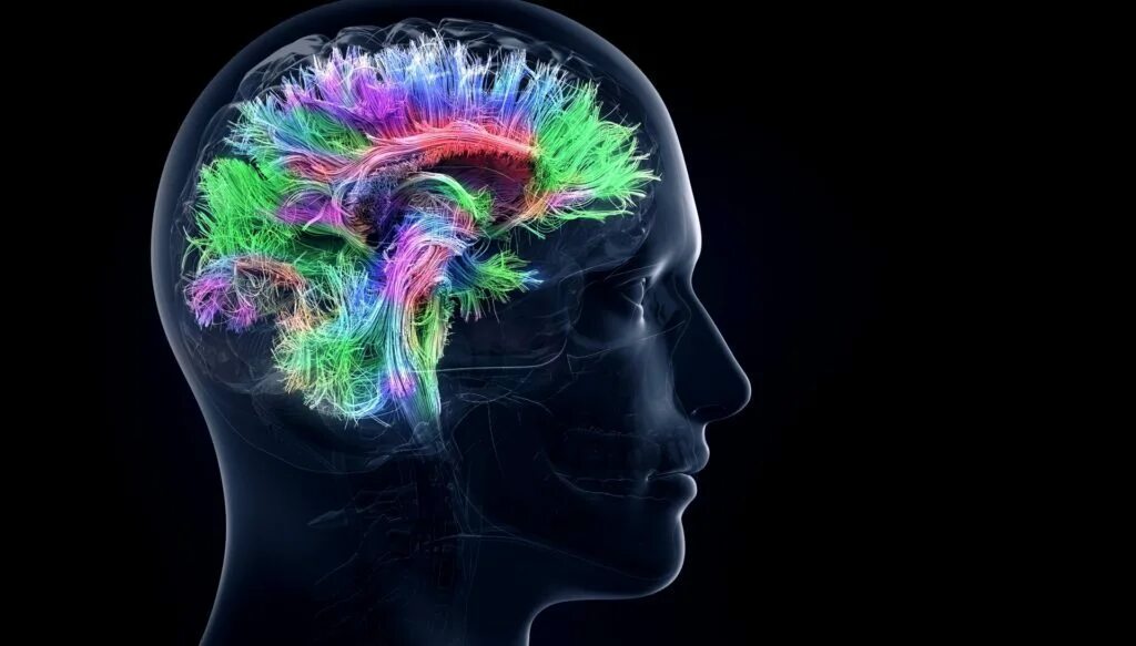 Музыка для улучшения мозга и памяти. Визуализация мозга. Мозговая активность.