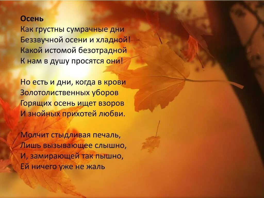 Осенние стихи. Стихотворение про осень. Осень поэзия. Стих про осеннюю природу. Дни становятся длиннее стихи