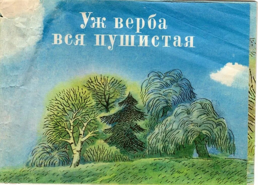 Уж Верба вся пушистая. Фет уж Верба вся пушистая. Фет «уж Верба вся пушистая». Иллюстрации. Куш Верба вся пушистая.