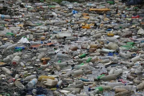The environment a lot