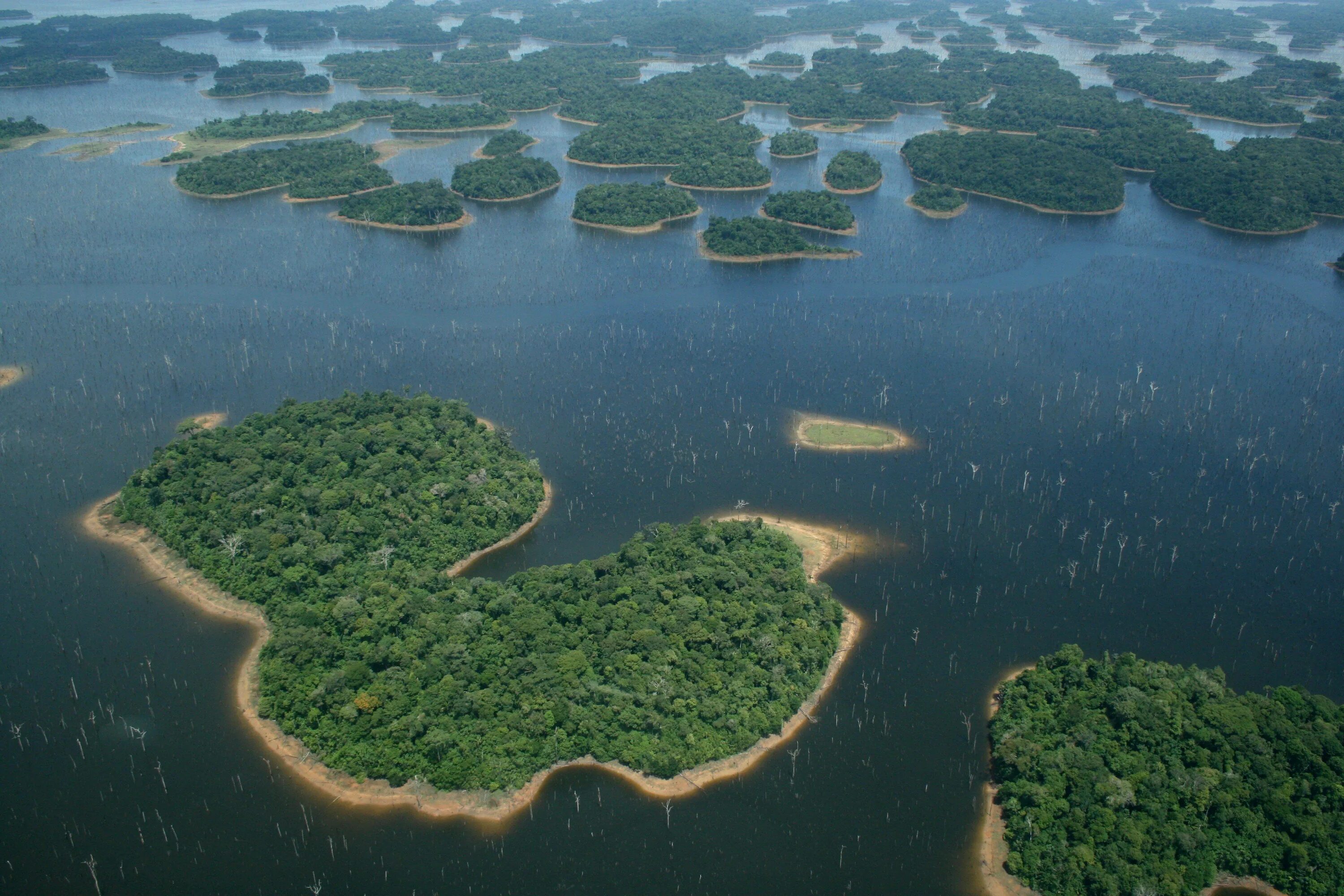 Бразилия Амазонская низменность. Амазония река Амазонка. Амазонка река Укаяли. Исток реки Амазонка. Крупные озера бразилии 7