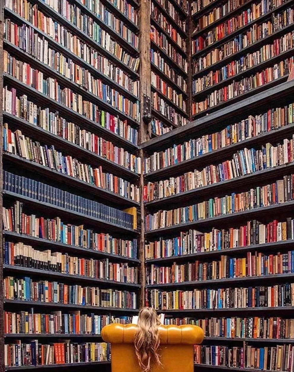 И много много читать чтение. Много книг. Книжные полки с книгами. Полки с книгами в библиотеке. Полки для книг.