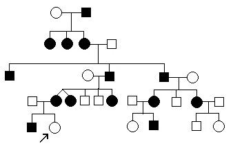 Порно ммф әйелі мен күйеуі