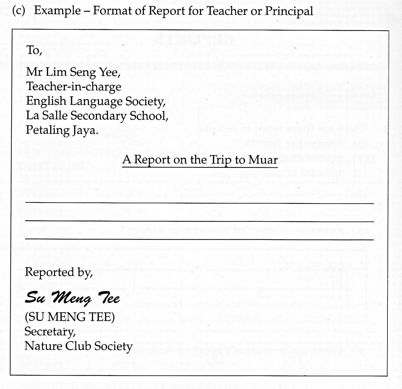 How to write a report. Report example. writing английский report. how to write a report example. report in english example.