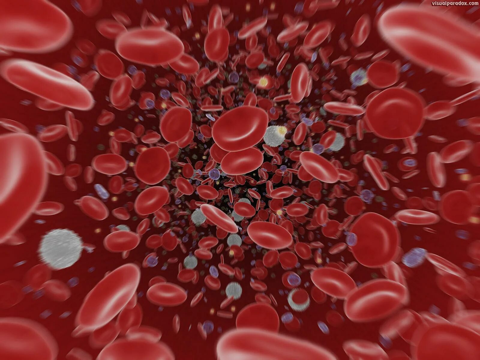Red cell