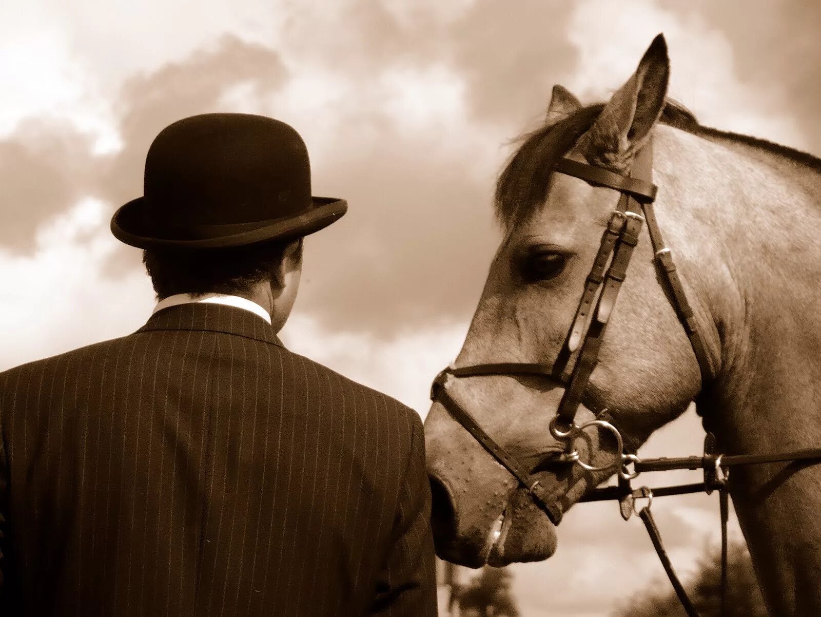 Понять лошадь. Лошади понимают человека. Man on Horse.