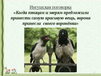 Ворона пословицы и поговорки