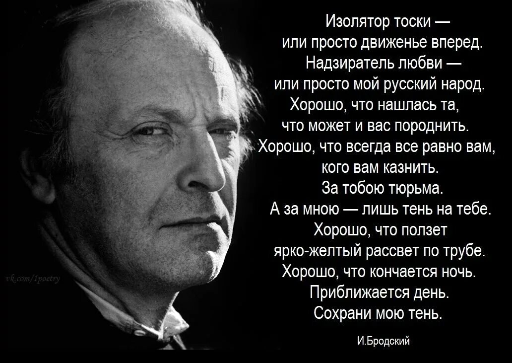 Высказывание поэтов о жизни. Стихи великих поэтов. Великие стихи великих поэтов. Стихи известных поэтов. Лучшие стихи классиков.