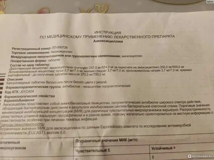 Сколько дать коту амоксициллина