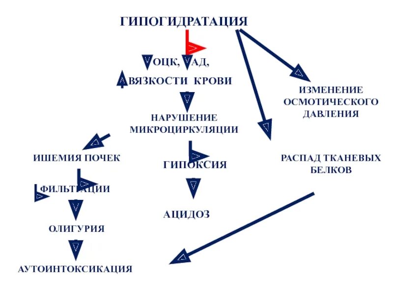 Гипогидратация это. Гипогидратация причины. Гипогидратация механизм развития. Гипогидратация). Виды. Причины. Патогенез.. Гипогидратация патогенез.