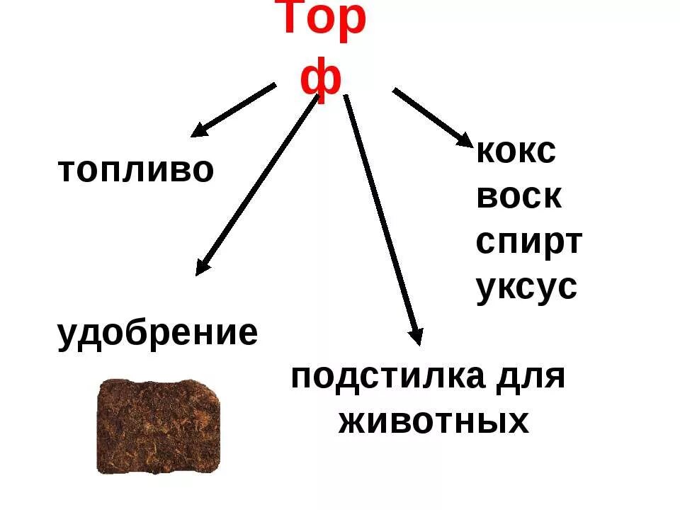 Торф доклад 3 класс. Торф. Полезные ископаемые торф. Горючие полезные ископаемые торф. Торф презентация 4 класс.