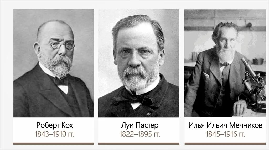 Кох и пастер. Луи пастер и кох.