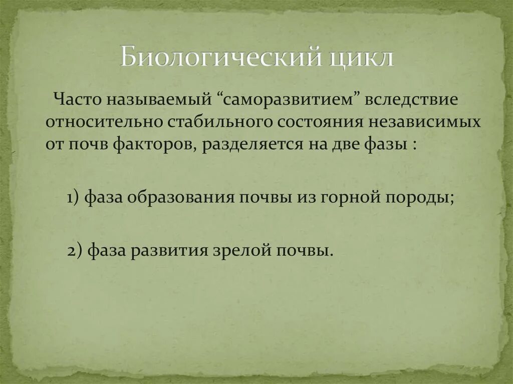 Фазы биологического цикла