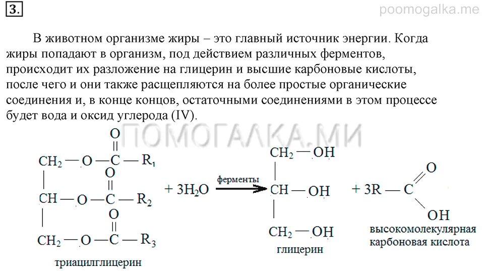 Охарактеризуйте роль жиров в организме животных приведите. Превращение жиров в организме химия. Уравнение реакции превращения жиров в организме. Приведите уравнения реакции, превращения жиров в организме. Уравнения реакций поясняющих превращение жиров в организме.