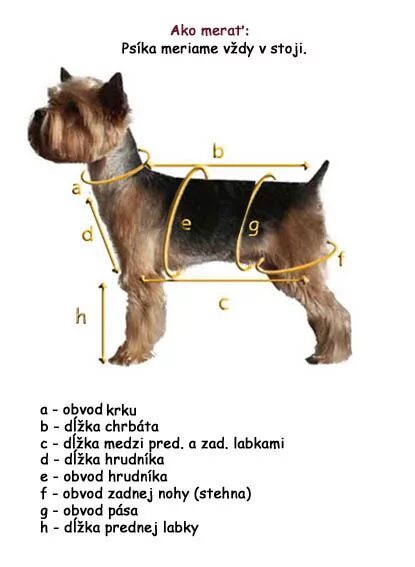 Вес щенка йорка в 2 месяца таблица. Йоркширский терьер стандарт высота в холке. Как определить терьера. Как определить терьера. Размерная таблица комбинезонов для собак крупных пород.