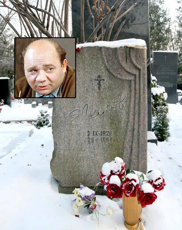 Новодевичье кладбище