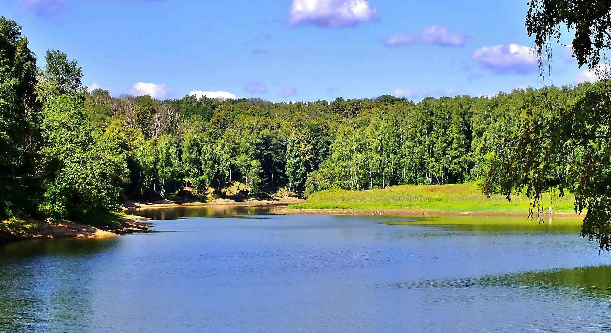 Река банька в красногорске. Река синичка в красногорске. Речка синичка красногорск пляж. Плотина на реке банька красногорск. Река сходня в митино.