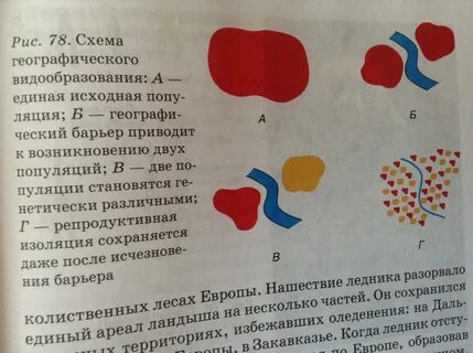 Исходная популяция