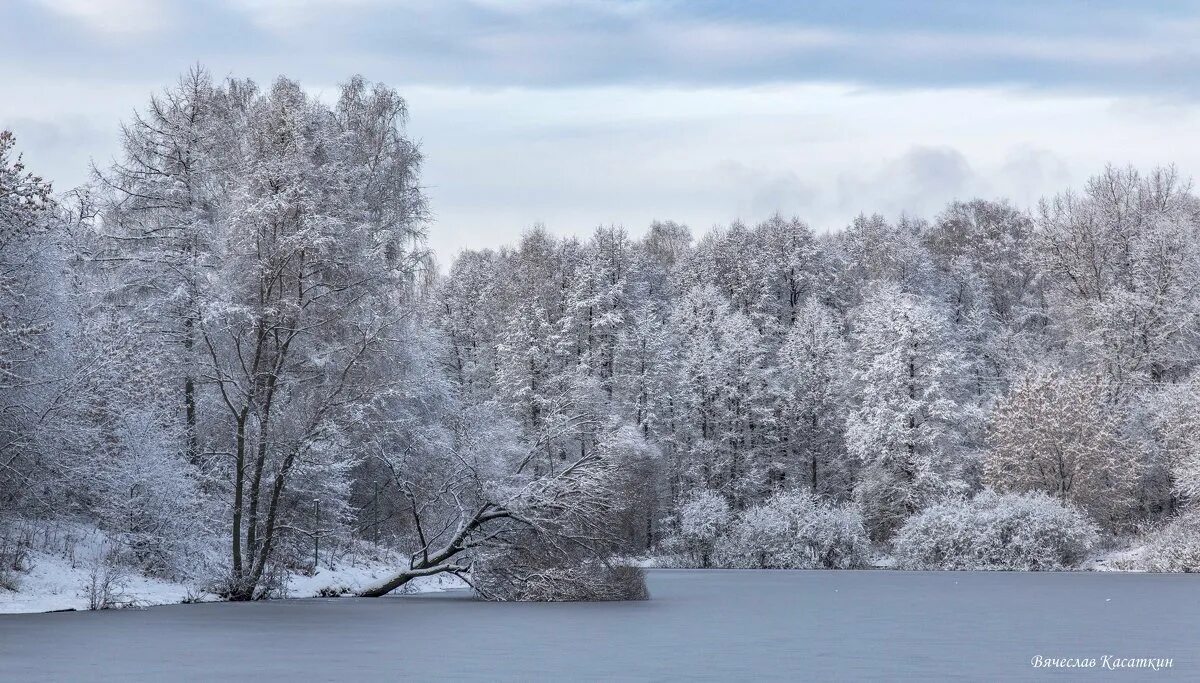 пороша. наступила зима будто. наступила зима будто. с наступлением зимы. зимние фото.
