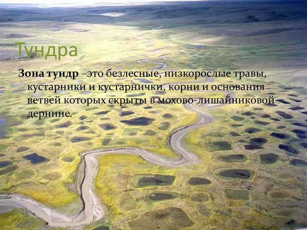 Бассейн в тундре. Термокарст Ямал. Термокарст в тундре. Полмтональная тундратермокарст. Термокарстовые озера в тундре.