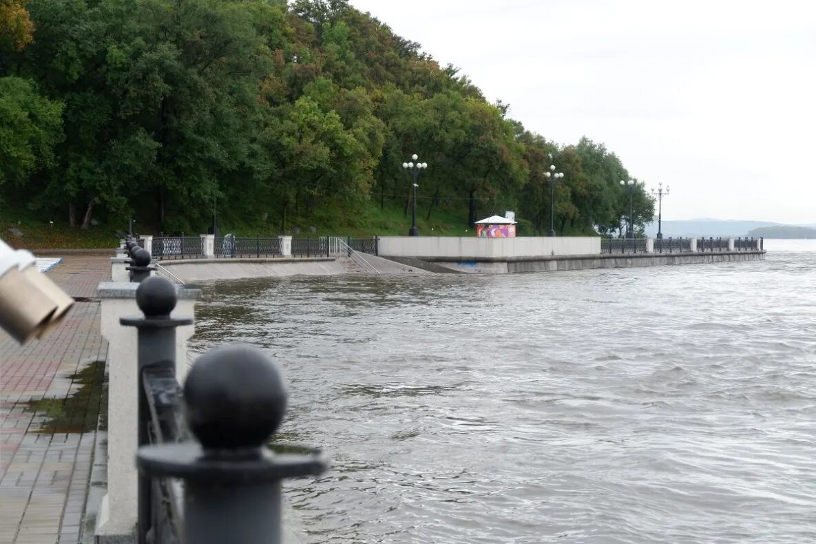Река амур хабаровск вода. Хабаровск вода. фото амура в хабаровске сегодня. уровень амура у хабаровска на сегодня. хабаровский амур капель плаж.